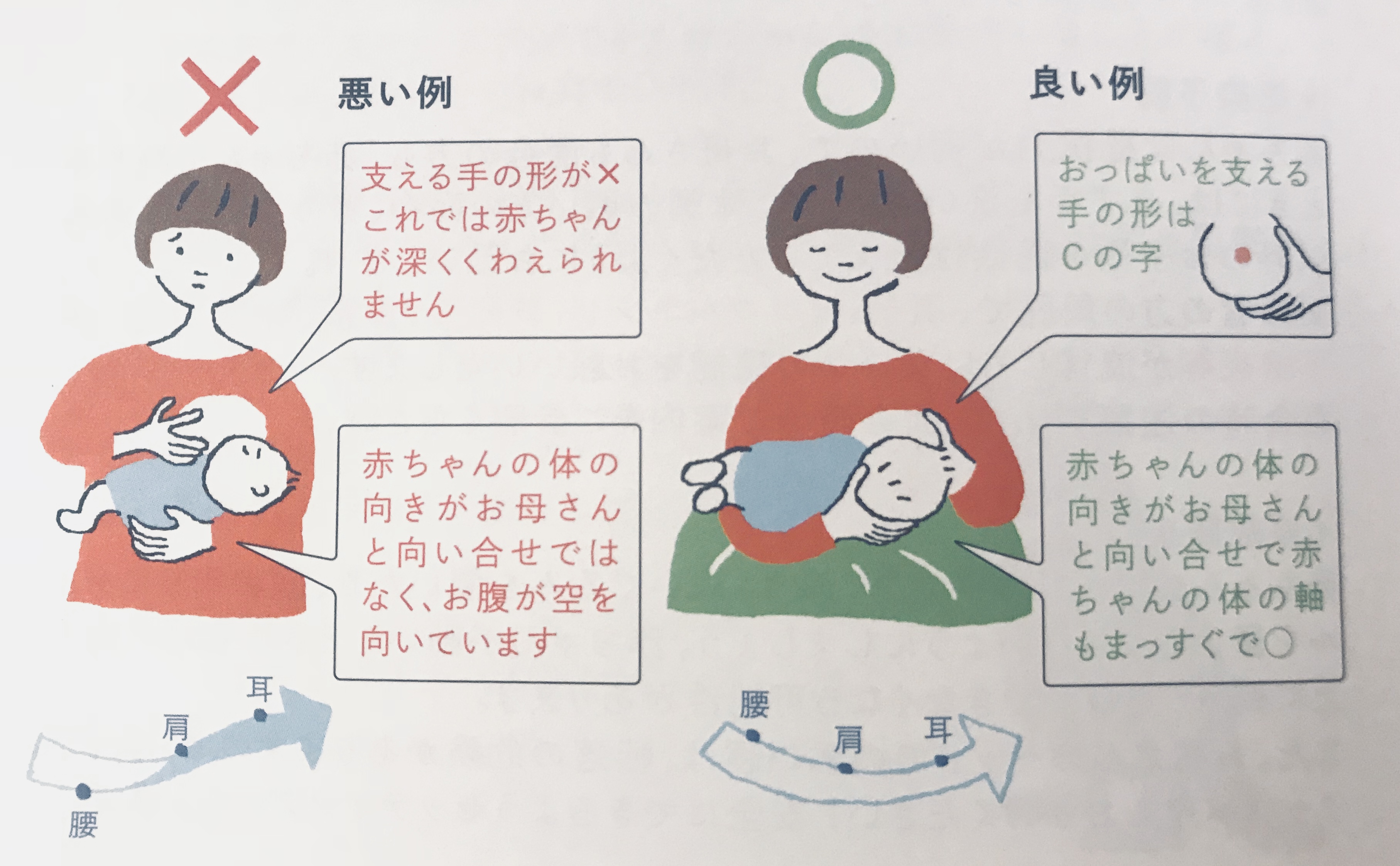 新生児 母乳 ずっと 吸っ てる